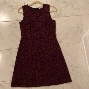 Loft cheetah print design dress